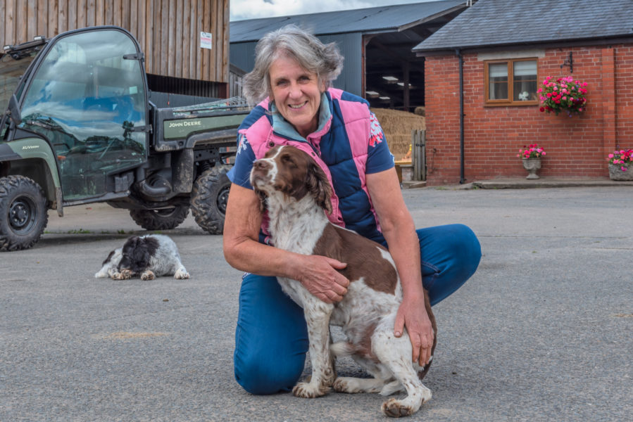 Jan, wearing a navy and pink puffer vest with a brown and white spaniel and a black and white spaniel. Behind is a John Deere Utility Vehicle